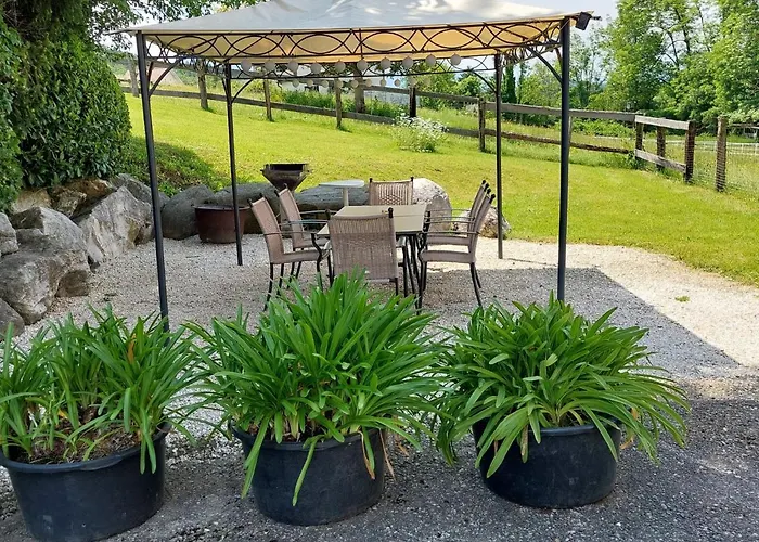 Kornblume By Interhome